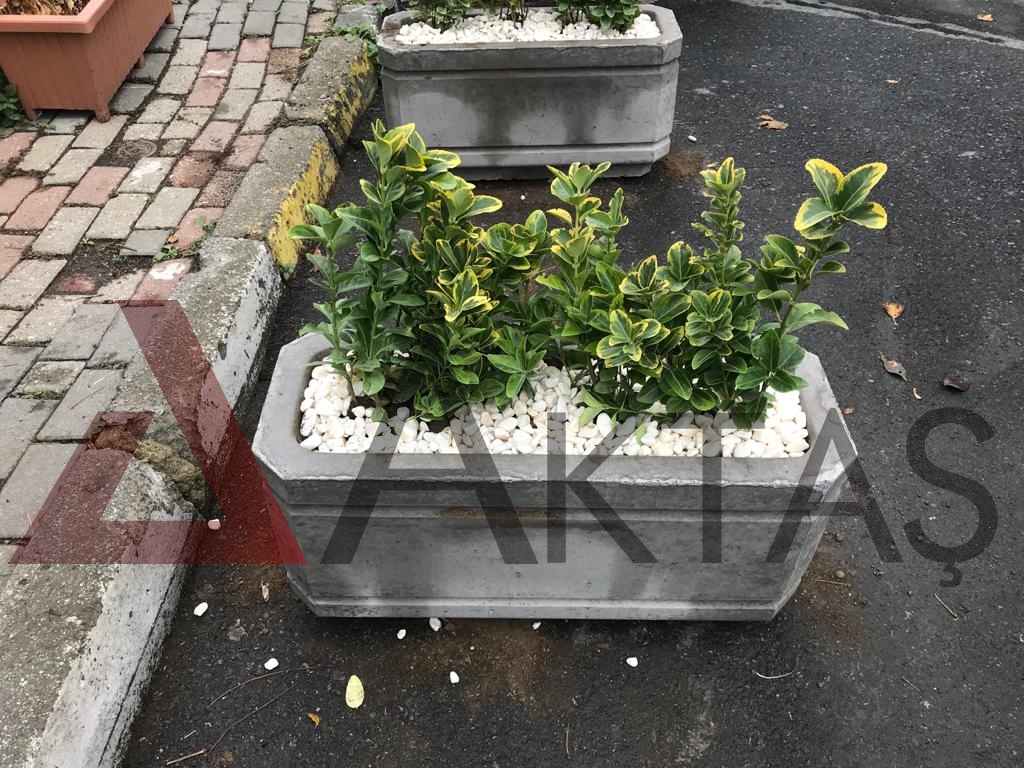 Beton Saksı